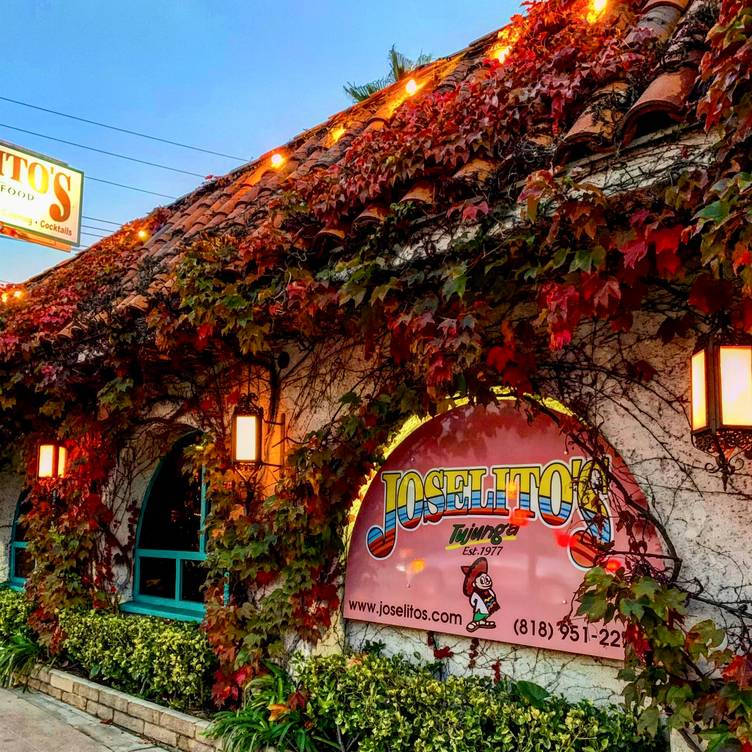 THE MEXICAN VILLAGE – Best Mexican Food Restaurant In Los Angeles With Food  Delivery