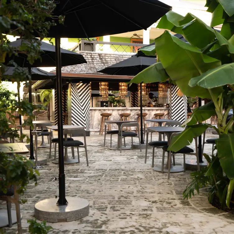 Welcome to our Courtyard Oasis. - The Bearded Rose Barbados, Lascelles, Saint James