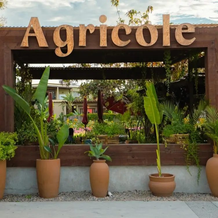 Cocina de Campo, El Pescadero, BCS