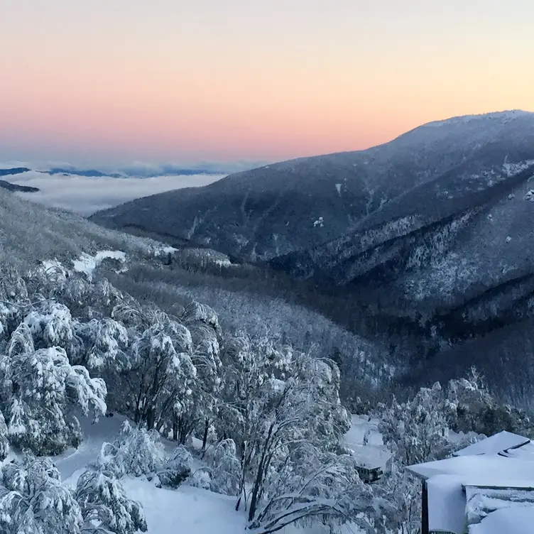 Enjoy our amazing views local produce and wines. - Attunga Bar And Restaurant, Falls Creek, AU-VIC