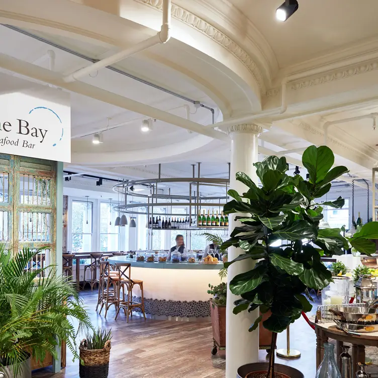 The Bay Seafood & Wine Bar at Jarrolds, Norwich, Norfolk