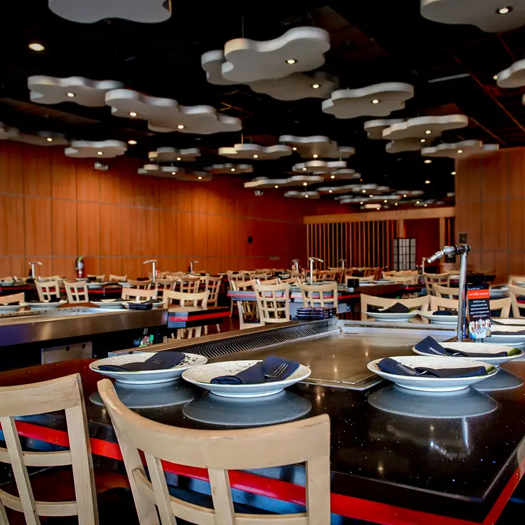 Shinto Japanese Steakhouse & Sushi Lounge - Naperville, Naperville, IL