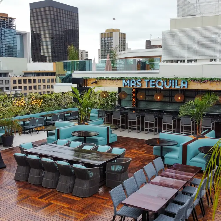 speakeasy rooftop lounge - CIELO ROOFTOP LOUNGE, San Diego, CA