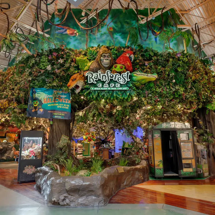 Rainforest Cafe. I'm sure there's still a few around but I haven't been to  one in at least 10 years. : r/nostalgia