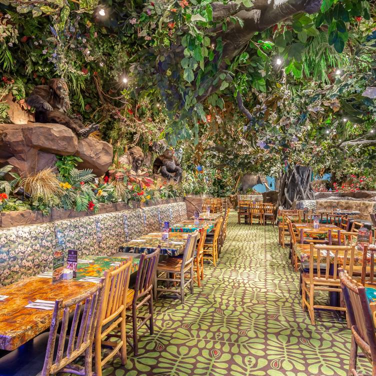 Rainforest Cafe at Woodfield Mall to close January 1st