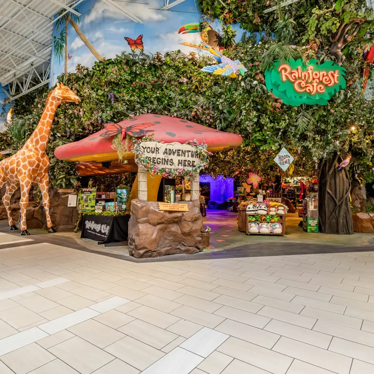 Rainforest Cafe - Katy Mills, Katy, TX