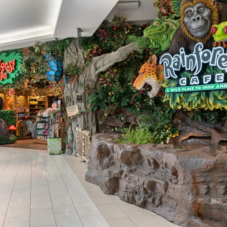 Rainforest Cafe - Mall Of America，MNBloomington