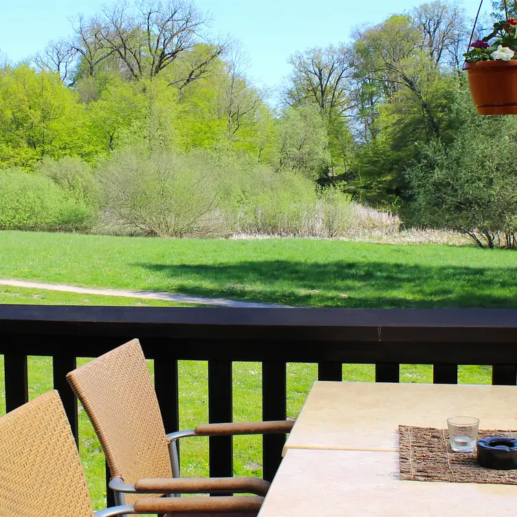 Blick von unserer Terrasse - le faisan, Neustrelitz, MV