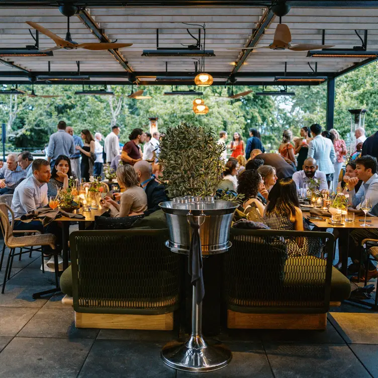 Roof 106, Healdsburg, CA