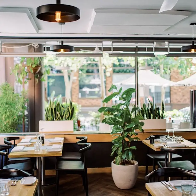 Restaurant Layout - Garfish Crows Nest，AU-NSWCrows Nest