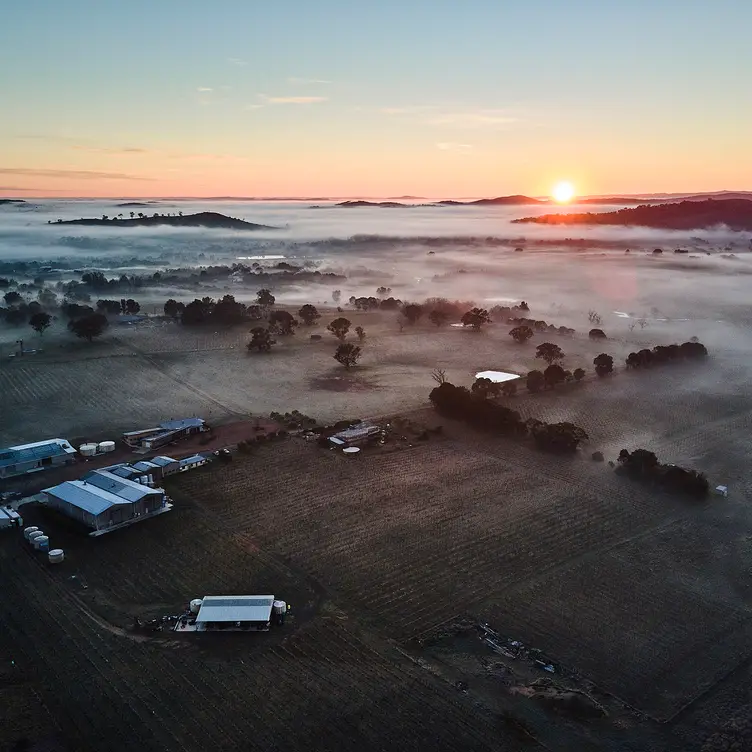 Clonakilla Vineyard and Winery at dawn - Clonakilla Wines，AU-NSWMurrumbateman