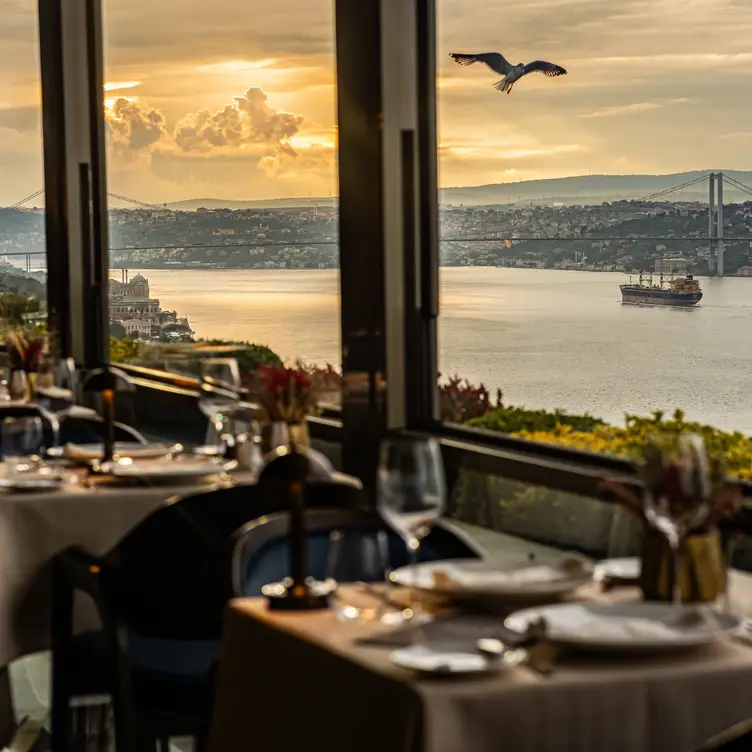 IZAKA TERRACE，IstanbulIstanbul