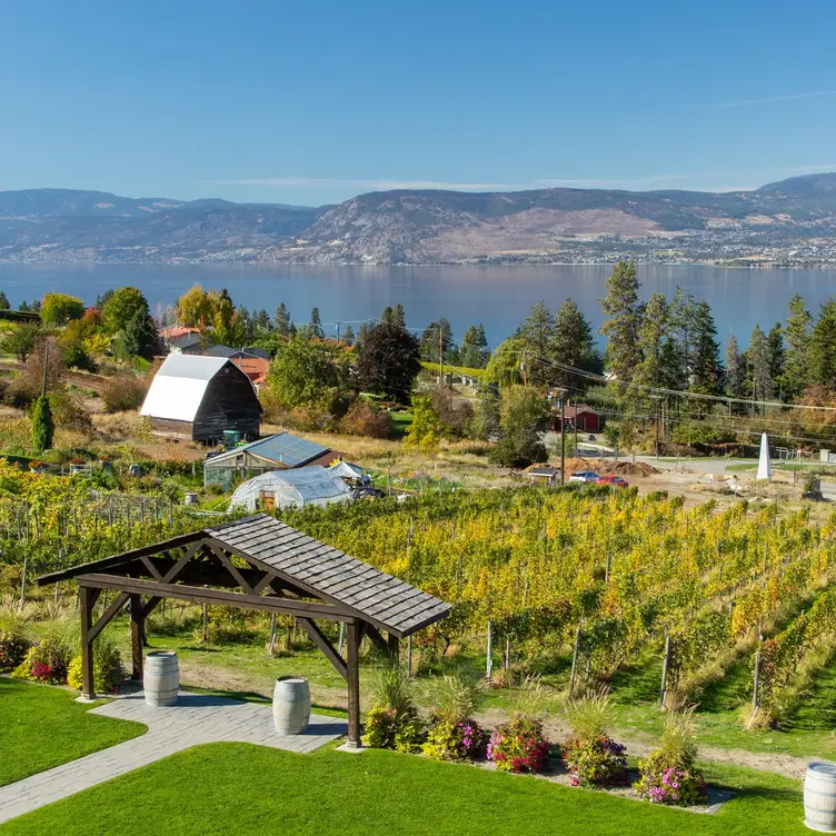 Summerhill Pyramid Winery - Sunset Bistro, Kelowna, BC