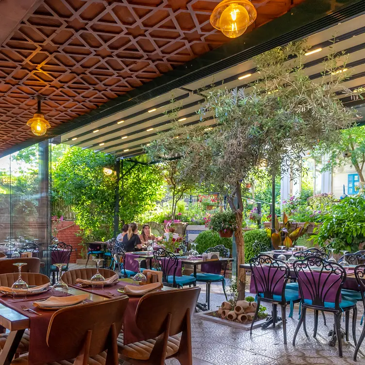 Taste Mediterranean cuisine in the hidden garden - Olive Garden Cafe & Restaurant, Fatih, Istanbul