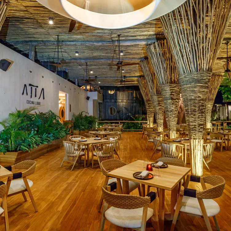 Alta cocina y un cenote en el mismo lugar - Atta Restaurant & Cenote Club, Tulum, ROO
