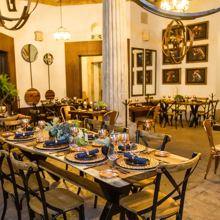 Don Gallo Cuisine, Santiago de Querétaro, QUE