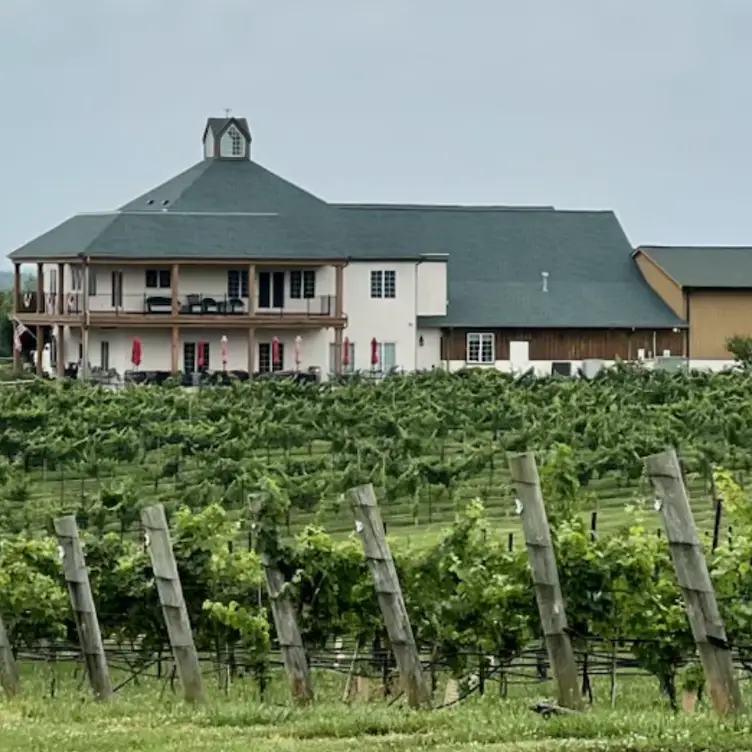 Rayson Winery - Wine Tasting NC Mocksville