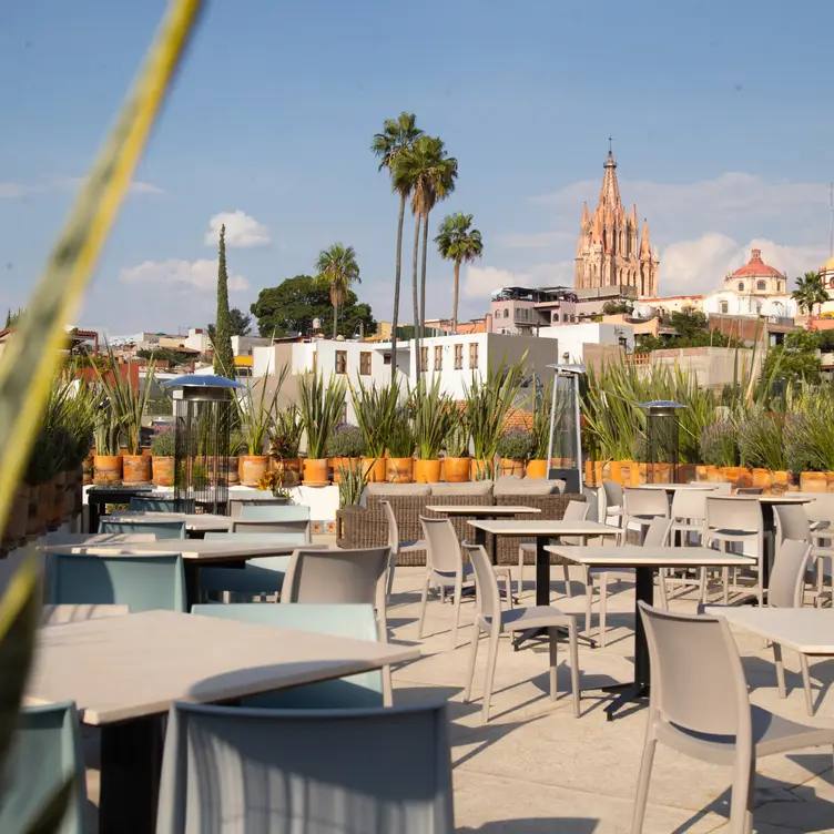 Tené: Rooftop, Kitchen &amp; Bar - Tené Kitchen & Bar, San Miguel de Allende, GUA