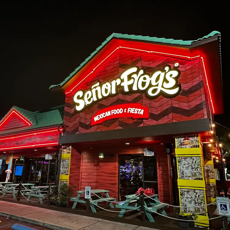 Señor Frog's - Orlando, Orlando, FL