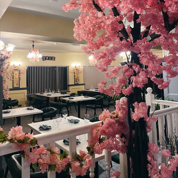 Compass Rose Chinese Restaurant & Bar - Portsmouth, England | OpenTable