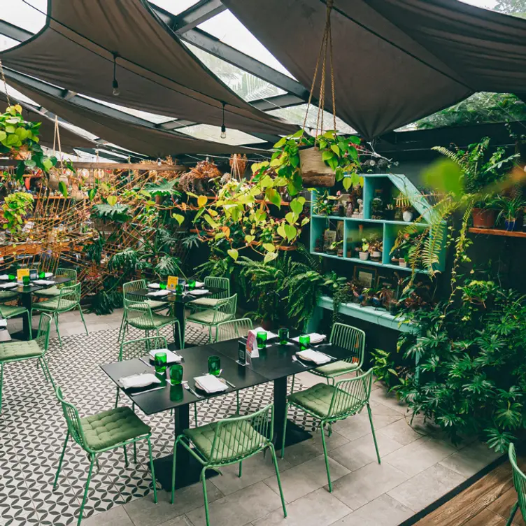 Un menú destacado por sabor y ambiente acogedor - Botánica Pizza, Panamá, Provincia de Panama