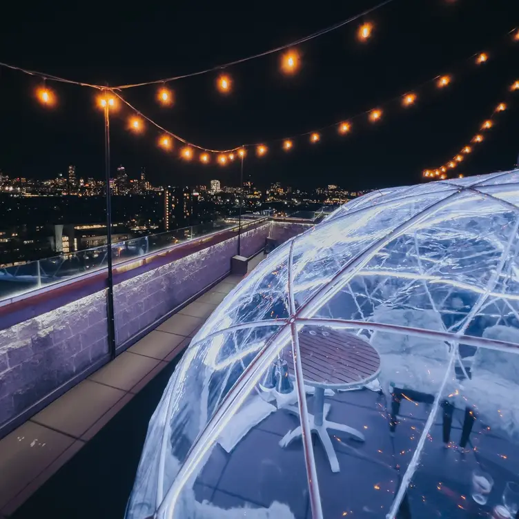 Nortons Brewing Company's garden igloos are back for a unique outdoor  experience