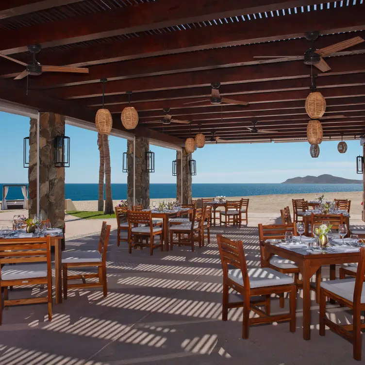 Restaurante Saltwater, San José del Cabo, BCS