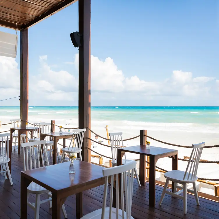 Lula's Kitchen，ROOTulum