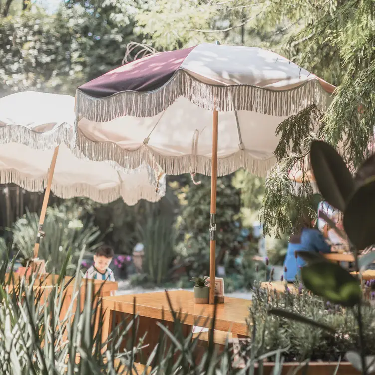 Contamos con jardín que es un oasis en la ciudad  - La Otilia Gluten Free - Polanco, Ciudad de México, CDMX