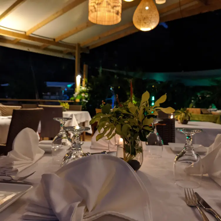 Jungle Room Dining area - Jungle Room Restaurant and Tapas Bar at Loterie Farm, Rambaud, Collectivite de Saint-Martin