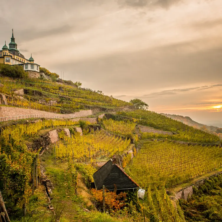 Spitzhaus Radebeul，SNRadebeul