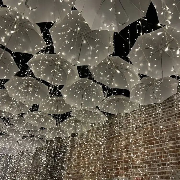 Umbrella Room - The Down Pour, WILKES BARRE, PA