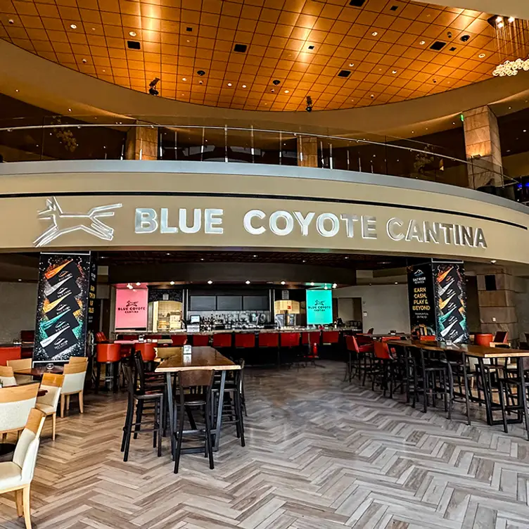 Blue Coyote Cantina - Talking Stick Resort