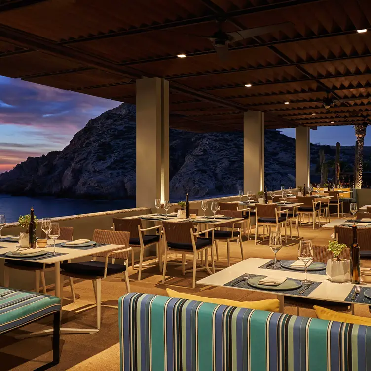 Marea at Montage Los Cabos BCS Cabo San Lucas