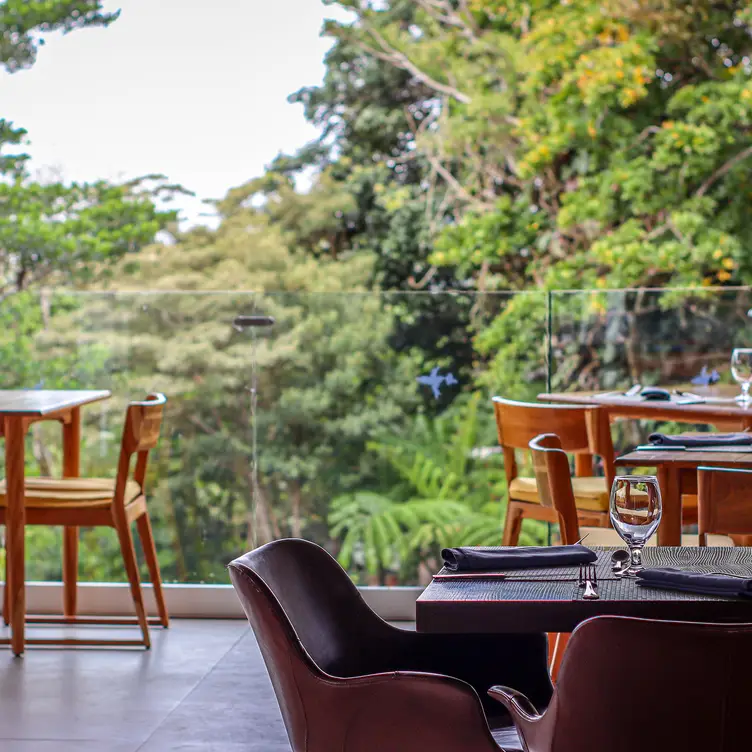 El Jardín, Monteverde, Provincia de Puntarenas