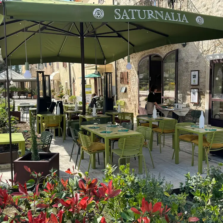 Saturnalia Wine Bar，Provincia di GrossetoSaturnia