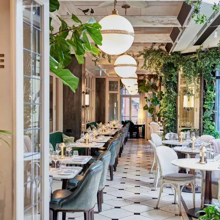 Wilde celebrates the best of Irish produce. - WILDE RESTAURANT Dublin Dublin 2