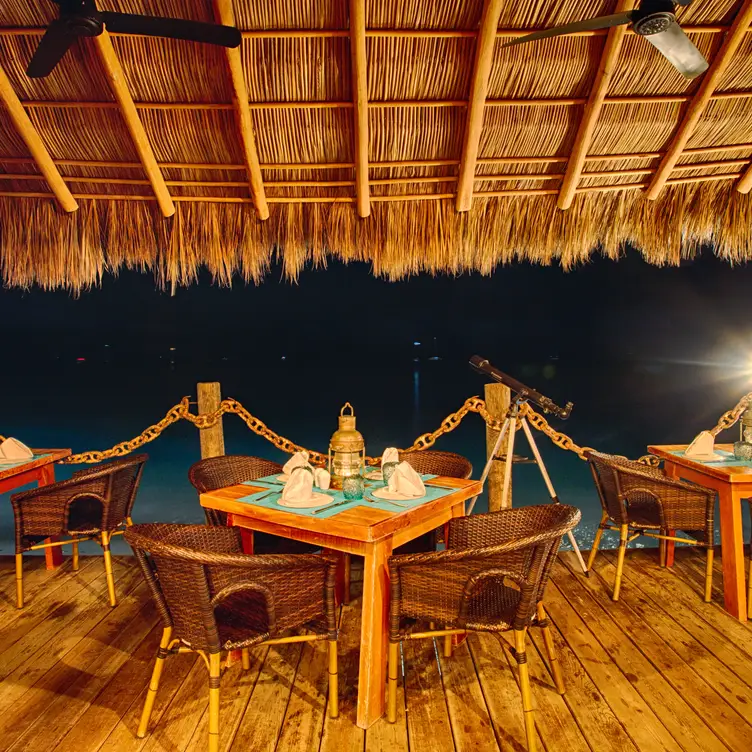 Lobster Paradise，NAYPunta de Mita