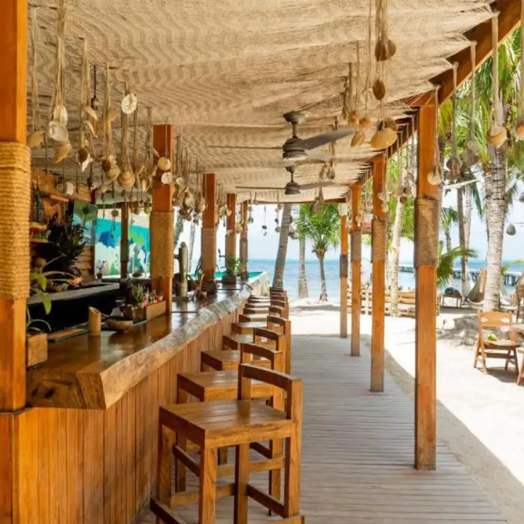 Mayan Monkey | Beach Club in Isla Mujeres - Updated 2024, Mexican ...