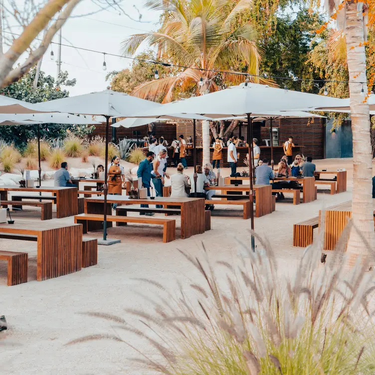 Entorno Baja Beer Garden at Suelo Sur，BCSSan José del Cabo