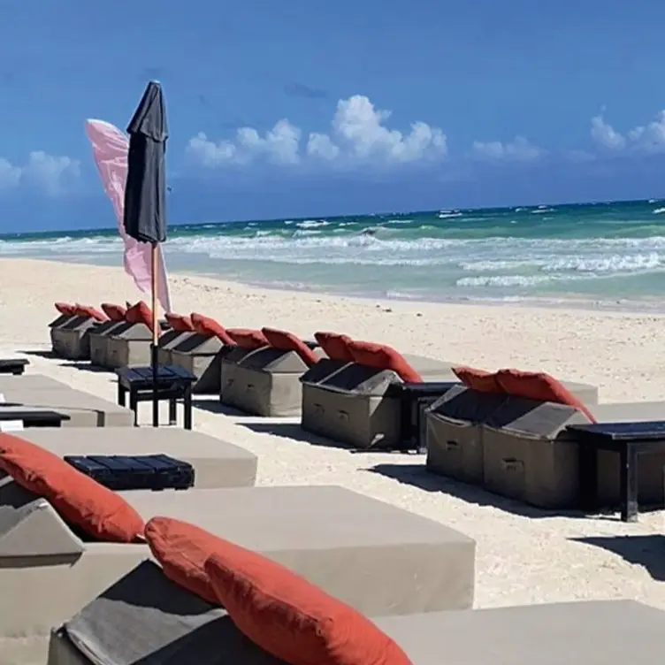 Mia Tulum，ROOTulum