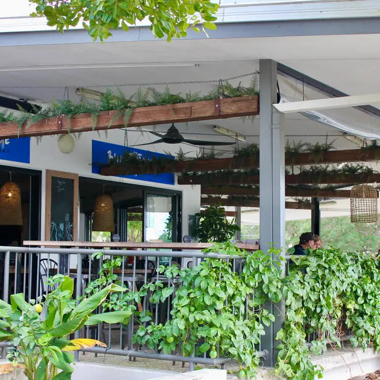 Blue Tongue Pantry patio/exterior - Blue Tongue Pantry, Thorneside, AU-QLD