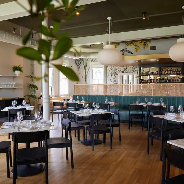 Lovely sunlit shot of Interior dining room - Dalida, San Francisco, CA