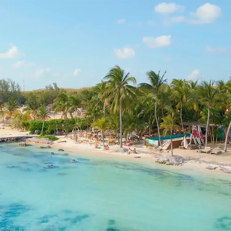 Mayan Monkey | Beach Club in Isla Mujeres, Isla Mujeres, ROO