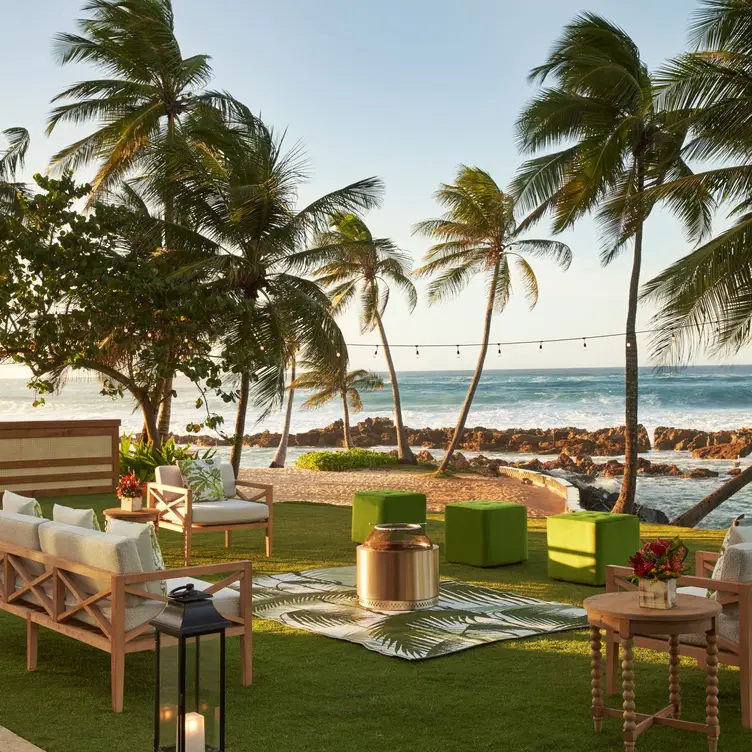 Indulge in magical experiences at Dorado Beach. - Experiences at Dorado Beach, a Ritz-Carlton Reserve，PRDorado