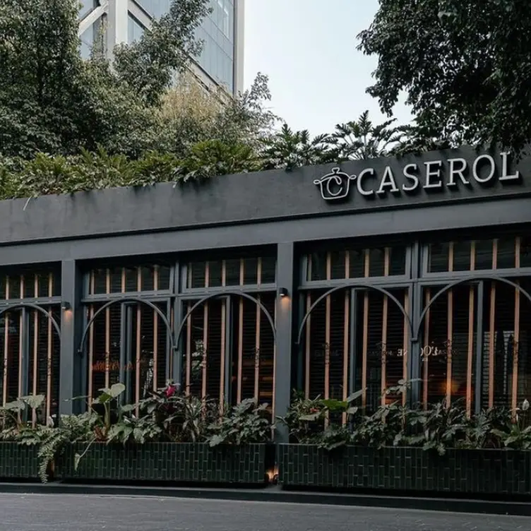 CASEROL, Guadalajara, JAL