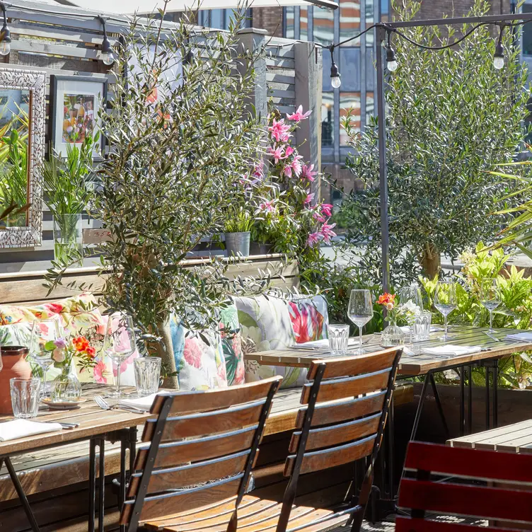 OIive Tree Patio - Bacco Ristorante Italiano, Richmond, Greater London