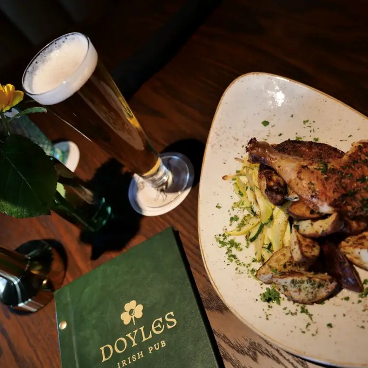 Doyles Irish Pub，MIPlymouth