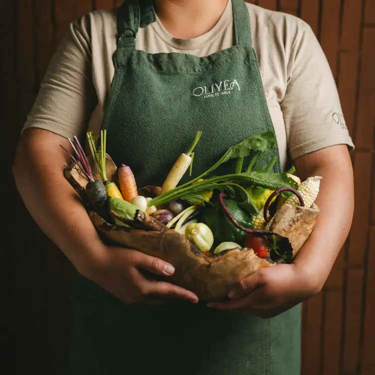 TABLE SETTING - Olivea Farm to Table BCS Valle de Guadalupe