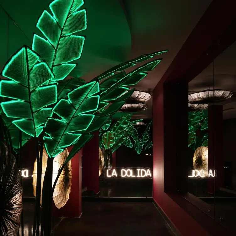 La Dolida Palmas, Ciudad de México, CDMX